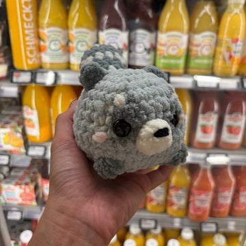 Mini Racoon
