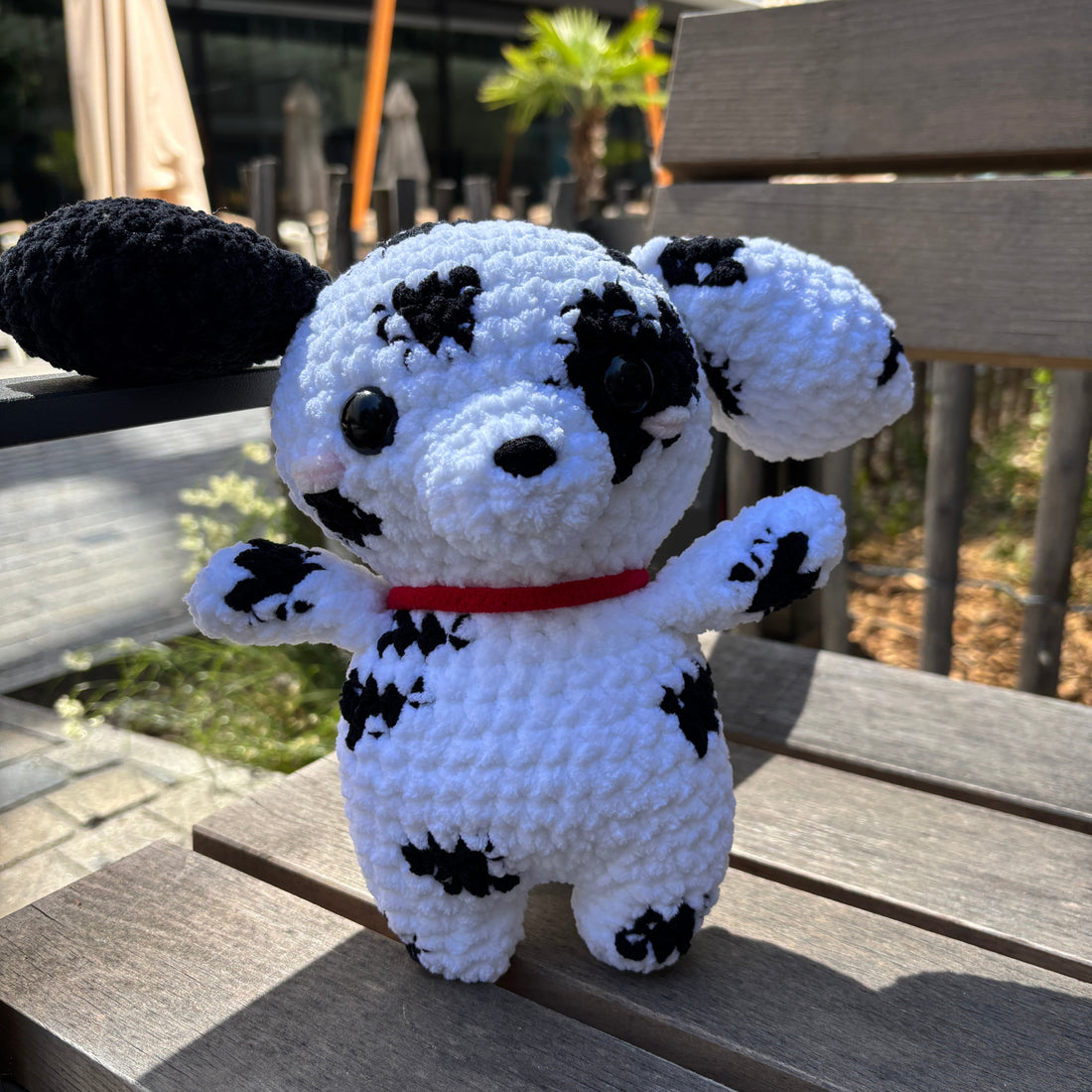 Dalmatian Enjoying the Sunshine