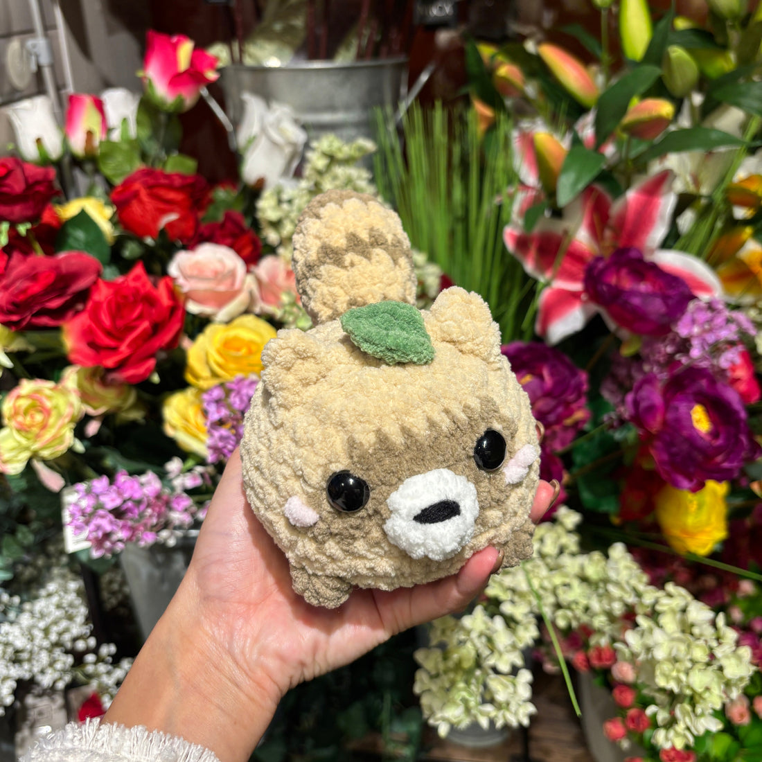 Mini Racoon