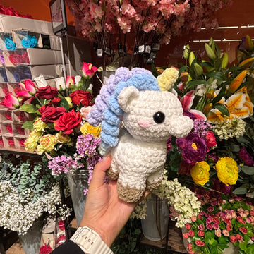 Unicorn at Flower Shop