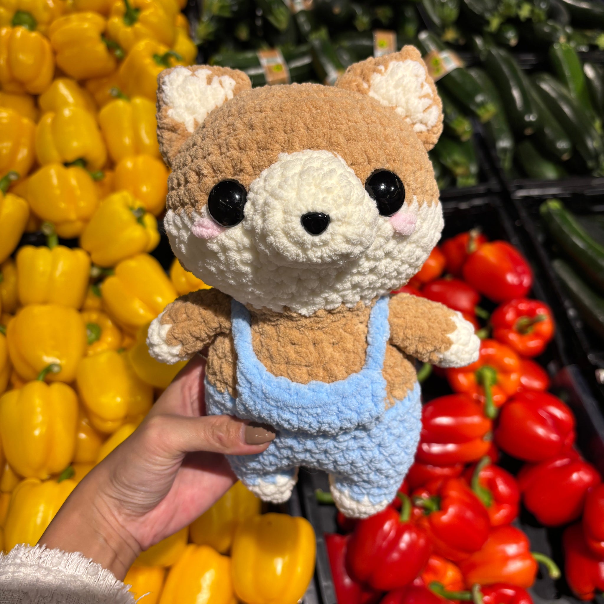 Shina Inu at Supermarket