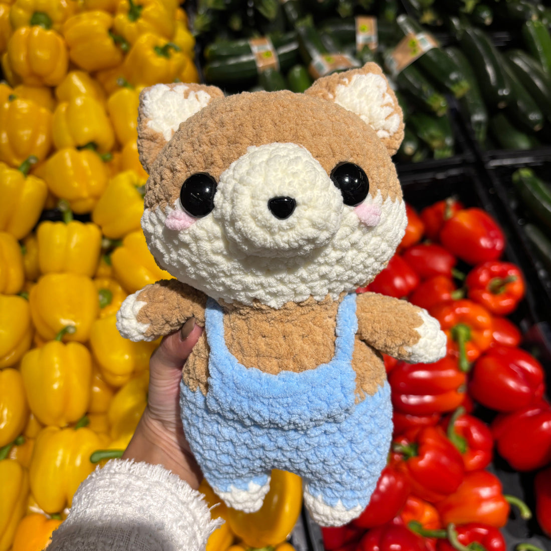 Shina Inu at Supermarket