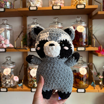 Racoon in Candy Store
