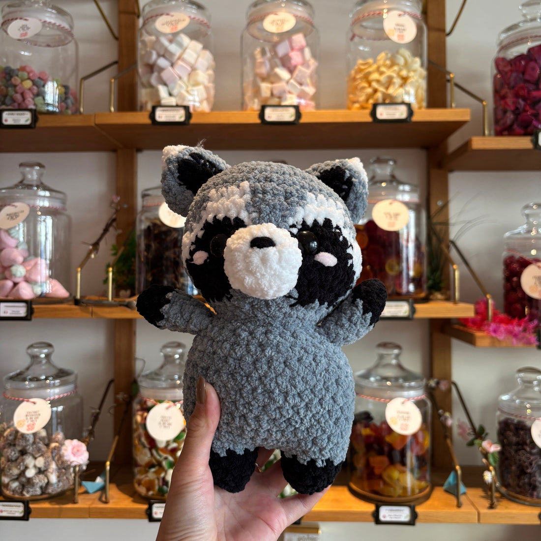 Racoon in Candy Store
