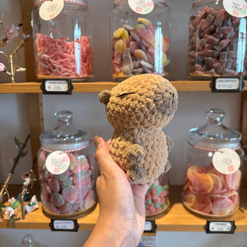 Capybara in Candy Store